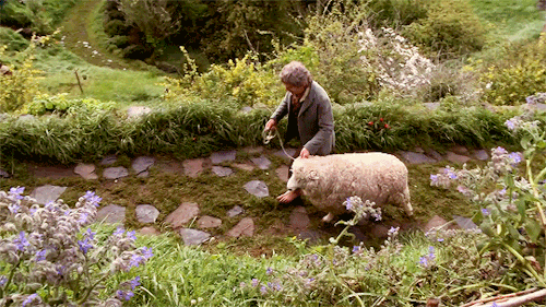 gotlembas:The Hobbit Production Diaries– The Hobbits of Hobbiton