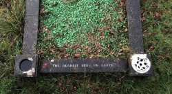 bef0rethest0rm:  @sixpenceee ‘the dearest spot on earth’ spotted at a graveyard in Bournemouth 