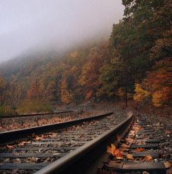 fresh-fallen-leaves:  sweater weather 