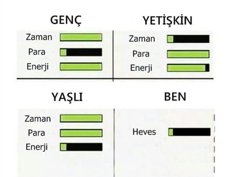 GENÇ
YETİŞKİN
Zaman
Zaman
P...