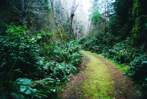 tuaari: Old mining roads