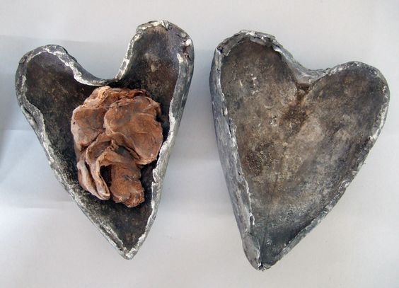   preserved human heart in a leaden case, discovered in the medieval crypt of a church