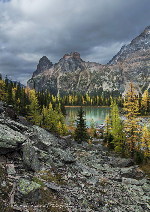 burning-soul: Photograph by  Thomas J Dawson on flickr