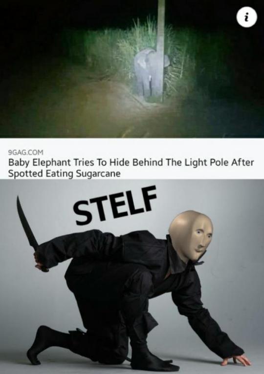 catchymemes:  