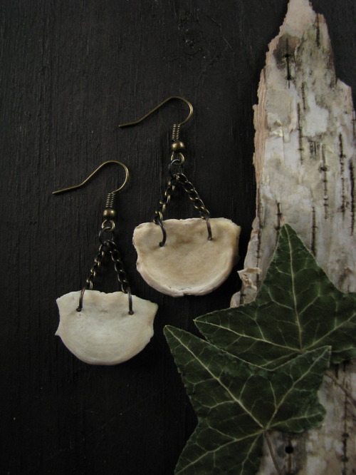 Little pair of bone earrings I finished yesterday. Aren’t these cute?