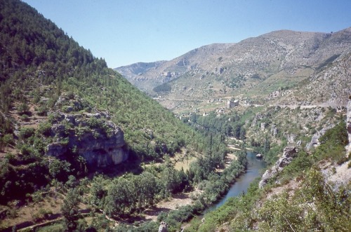 Gorges du Tarn, pres de Compeyre, Aveyron, 1984.