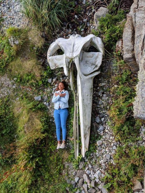 sixpenceee:  A human next to the skull of a whale                          