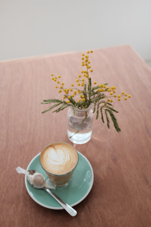 Piccolo latte at Slowly, a tiny minimalist space in Seochon.