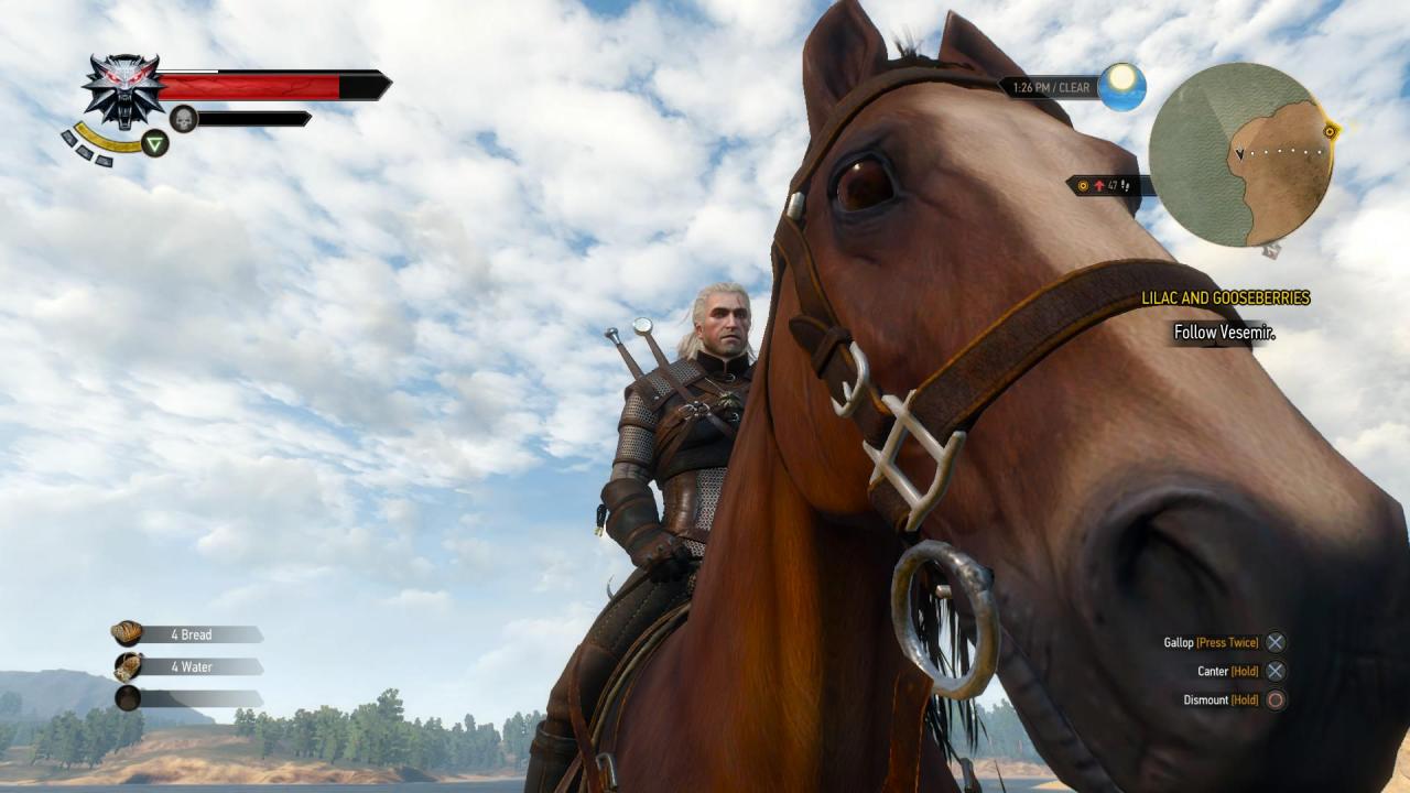 theomeganerd:  The Witcher 3: Wild Hunt - New Screens