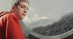 jacksparrowz:HARRY POTTER MEMEOne house: Gryffindor