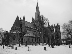 gothgrlsgotogivenchy:  Nidaros Cathedral