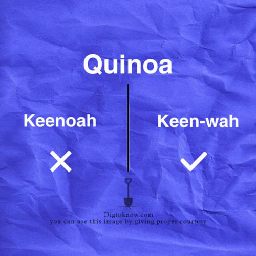itsdivaduh:  raytwin:  innocenttmaan:  Lifestyle website “Dig To Know” has come up with a useful guide that clears up the common mispronunciation of some food names.  Ok I’ve been mispronouncing hummus, buffet, and bruschetta. Why hasn’t anyone
