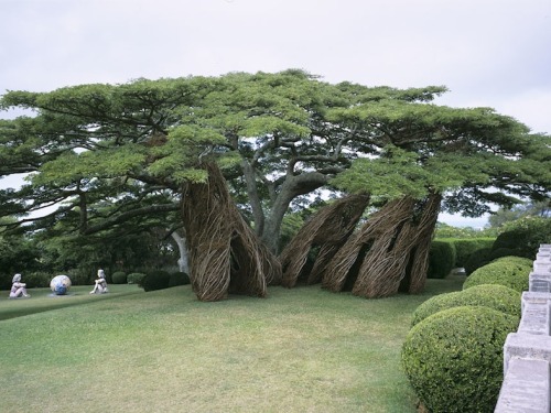 vvolare:  North Carolina-based sculptor Patrick Dougherty weaves dreamlike sculptures out of woods, twigs, vines, and any such natural tree-derived materials available to him. 