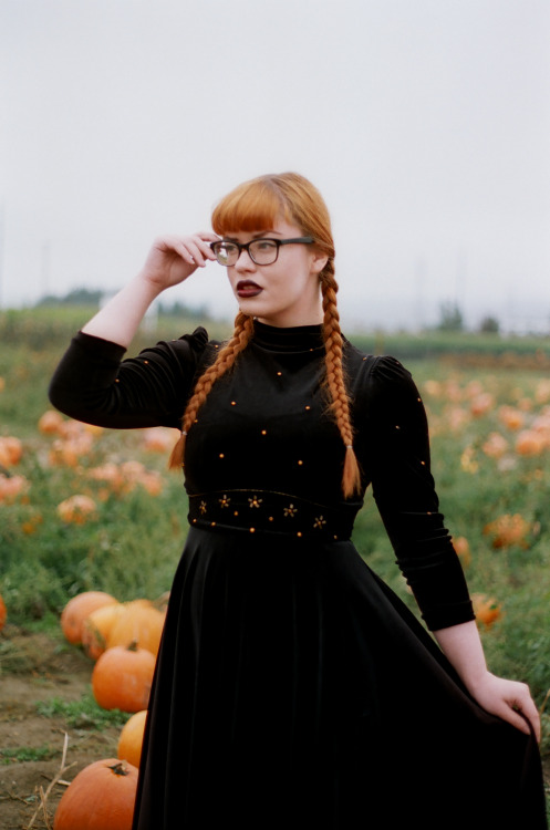 sierramckenzie: <3 halloween pumpkin patch masterpost. me by dylan staley