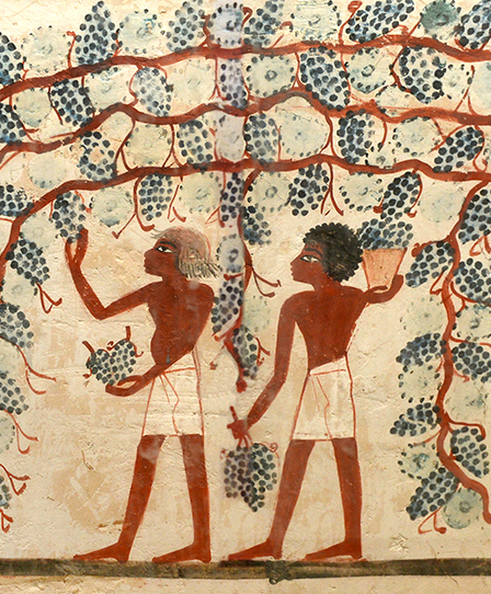 The History and Culture of 'Black Hair' — A Study of Hair Texture in  Ancient Egypt