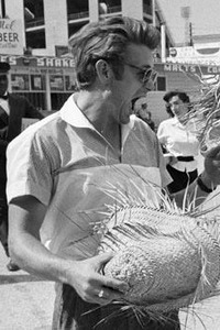 thelittlefreakazoidthatcould:   James Byron Dean(February 8, 1931 — September 30,