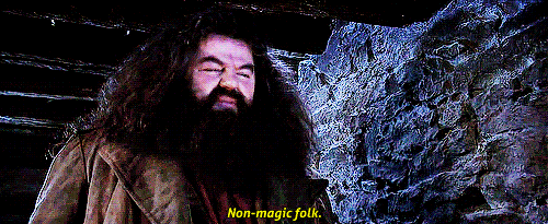 When people sneer at fantasy books
