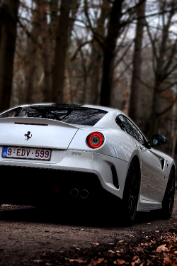 se7ensinz:  Ferrari 599 GTO 