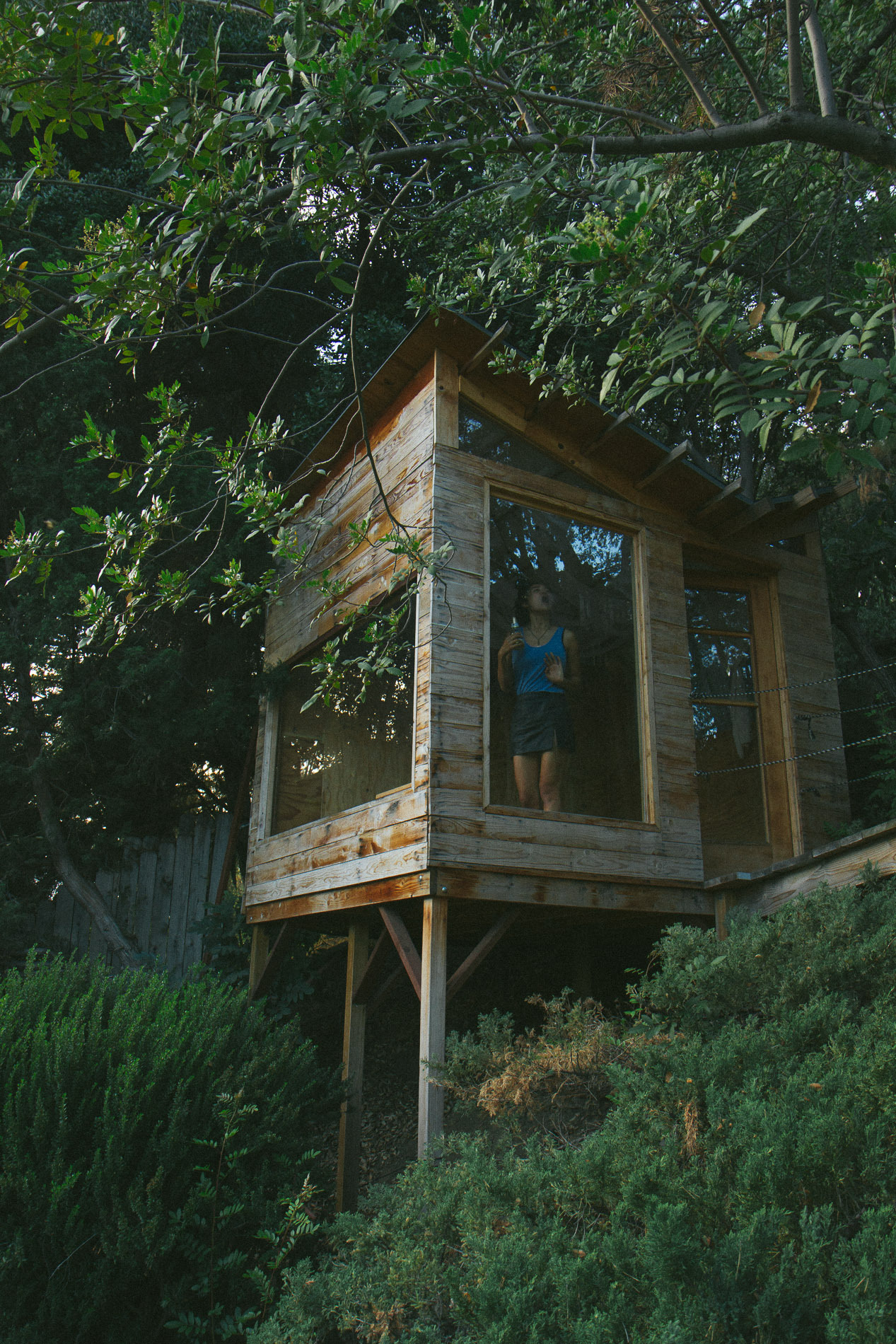 Cacia zoo on mt washington july 2014 tumblr pics