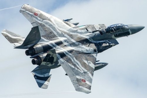 bmashine:F-15DJ from the Aggressor group.