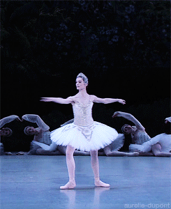 aurelie-dupont:Happy birthday to my favourite ballerina Aurélie Dupont (15 January), one of the most