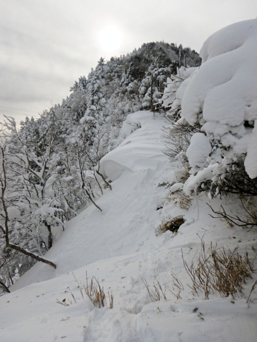 鶏頂山　肩から山頂方向　１月