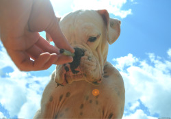 nickijuana:  Blunt blowin with Cleet