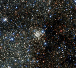 zubat:  This NASA/ESA Hubble Space Telescope image presents the Arches Cluster, the densest known star cluster in the Milky Way.