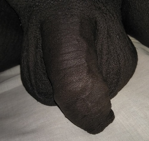 kuruvilla123:unhappy to my Cock