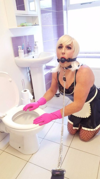 Gagged In Toilet Tumblr Gagged In Toilet Tumblr