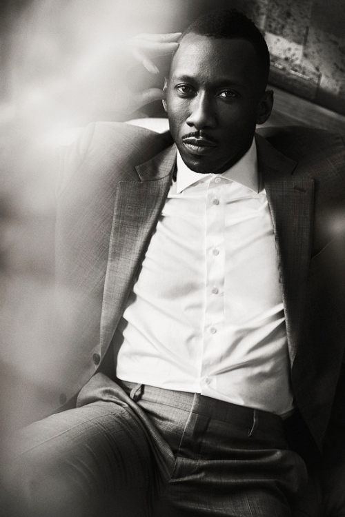 thorodinson:Mahershala Ali photographed by Miller Mobley for The Hollywood Reporter