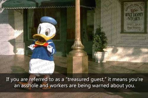 pornosophical:  jzanity1010:  dbvictoria:  More Disney Parks facts here  TREASURED GUEST  But how could you leave out this   this is so awesome..