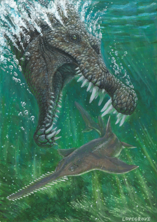 fuckyeahdinoart:  Spinosaurus and Onchopristis by Alexanderlovegrove 