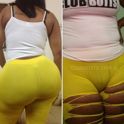 The-Big-Ass-Connoisseur:  She Fat In The Front And The Back!!
