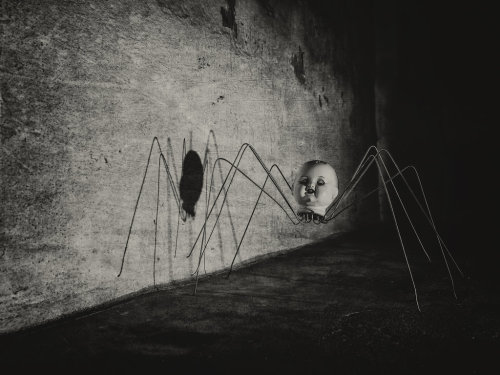 fer1972:  Photomanipulations by Mrs White