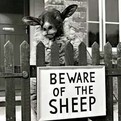 well, sign or no, he looks kinda dodgy&hellip;