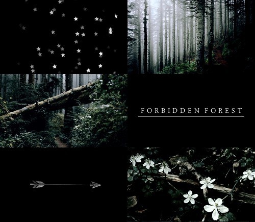 black-doe:Hogwarts locations ; [1/?]→ Hogwarts castle and grounds, Forbidden Forest, Library.