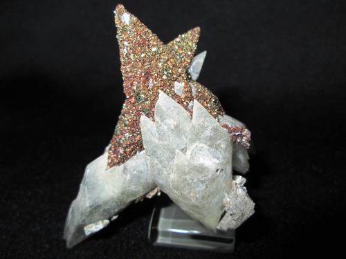 mineralists:  “Dad’s new find Calcite 1100 ft. level drift 106 Bushy Creek Mine, Reynolds Co Mo.”Oh hey my dad is submitting stuff now! This is a really nice specimen and an even better photo :)