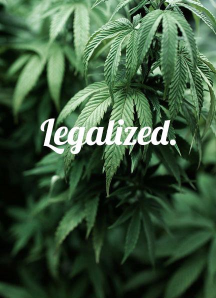 Weed Palace