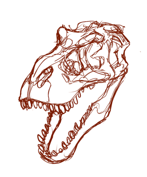 Apologies for lack of posts, have a dino head