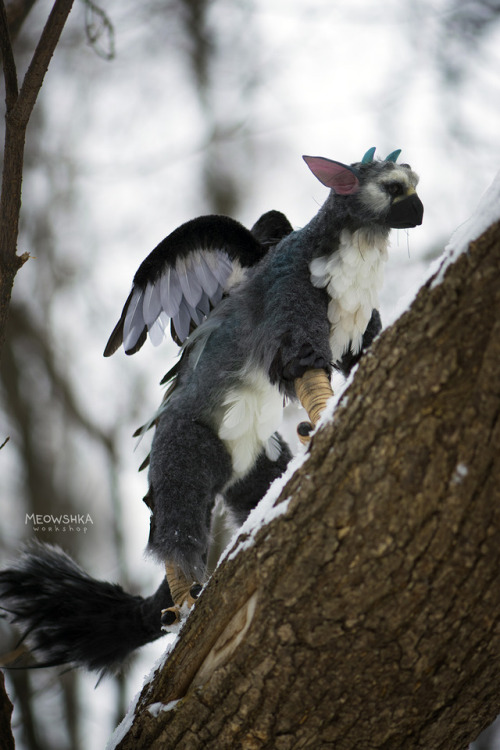 The first of two Trico. He has moveable legs until each finger. Handmade art doll.