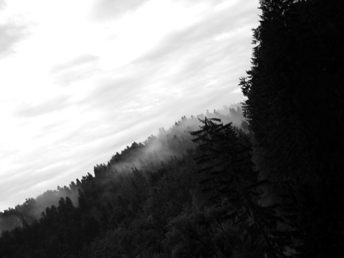 intrigxnz.tumblr.com/post/111184889130/