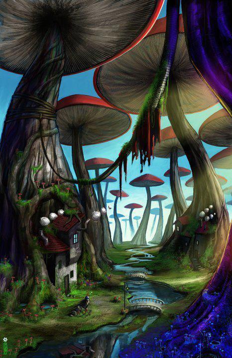 allthingsstrange:  Mushroom Forest by dinmoney
