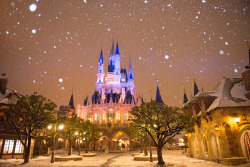 mousekeblog:   Real snow falling at Tokyo Disneyland. 