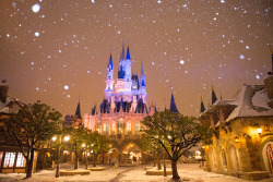 mousekeblog:   Real snow falling at Tokyo