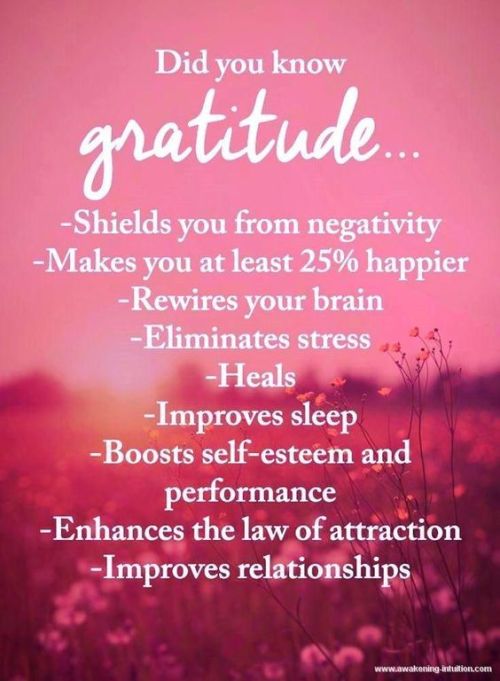 yellowtailbirdy:Gratitude shields you from negativity
