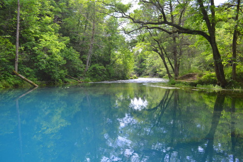 lukespringsteen:  Camped throughout the Ozarks ( in Missouri) all of last week and the landscape was beautiful. I got to meet with several foresters, state and private, and I have to say they arguably have one of the best conservation programs in the