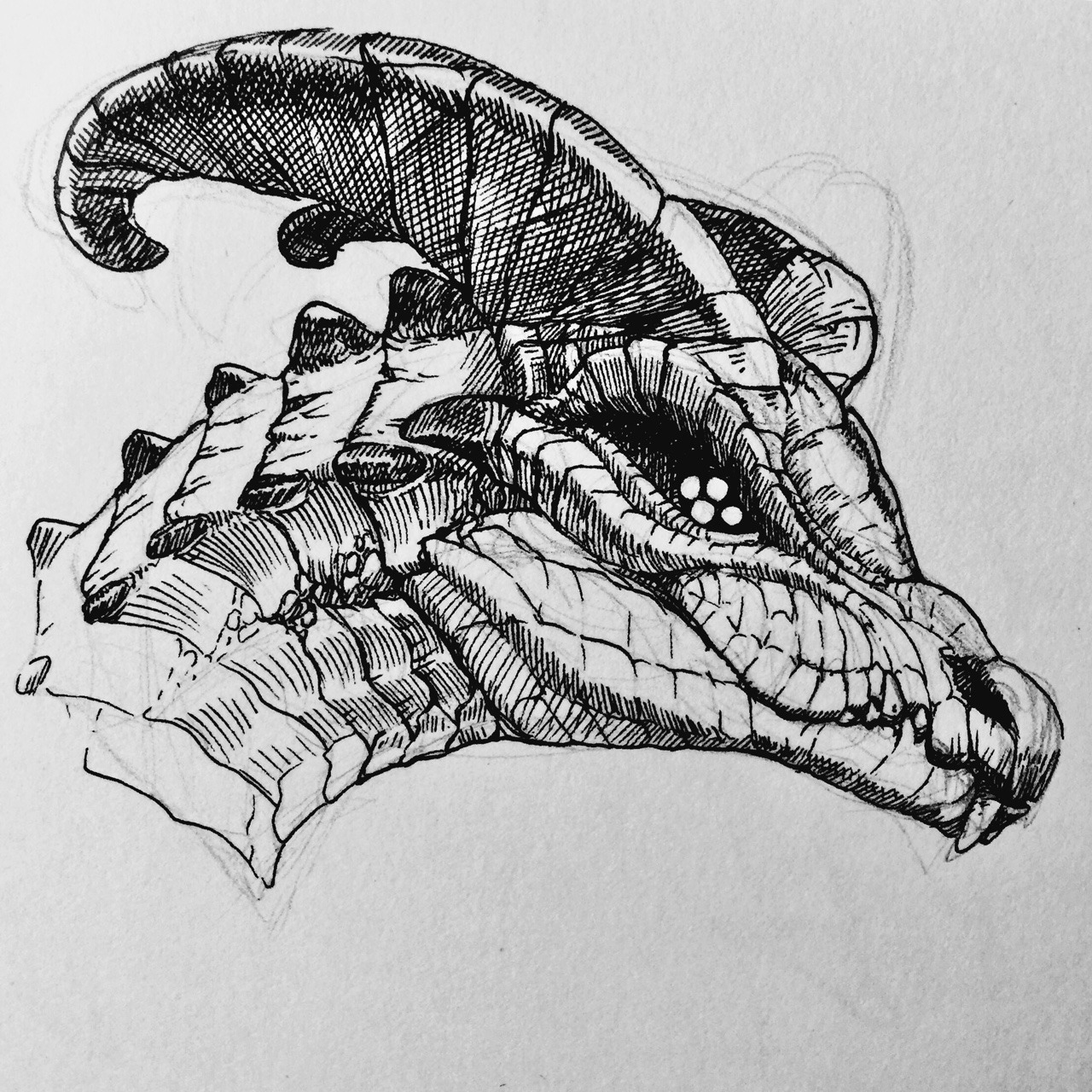 legendary dragon skyrim drawing