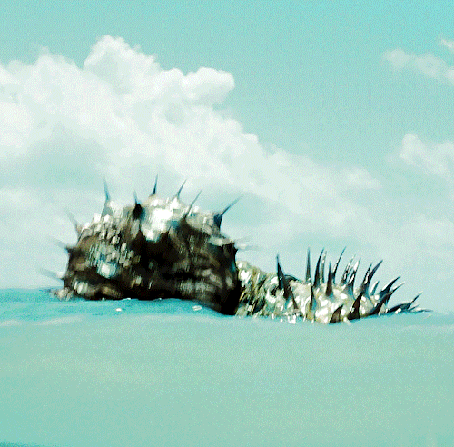 Pirates Of The Caribbean: Dead Man’s Chest 2006 | Dir. Gore Verbinski.