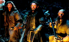 oakenbaggins:  thorin + being protective of the company
